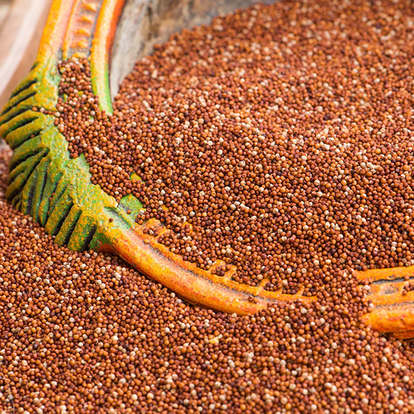 FINGER MILLET