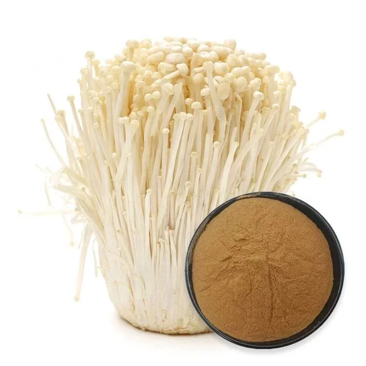 Enoki Mushroom Powder